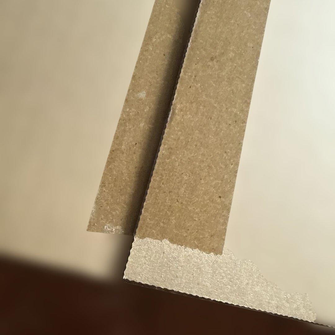 Ayrton　アイルトン・セナ没後30年プレミアム写真集