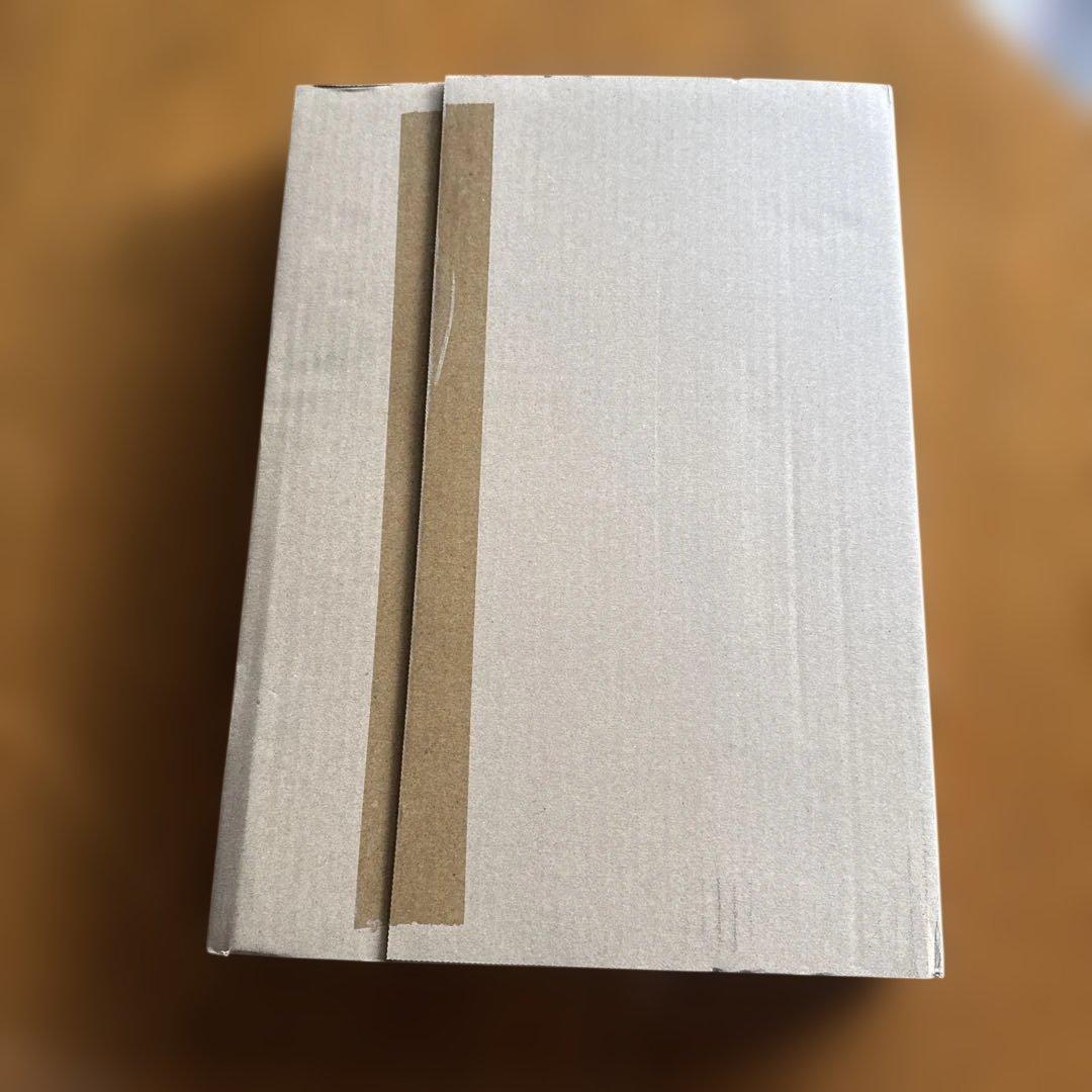 Ayrton　アイルトン・セナ没後30年プレミアム写真集