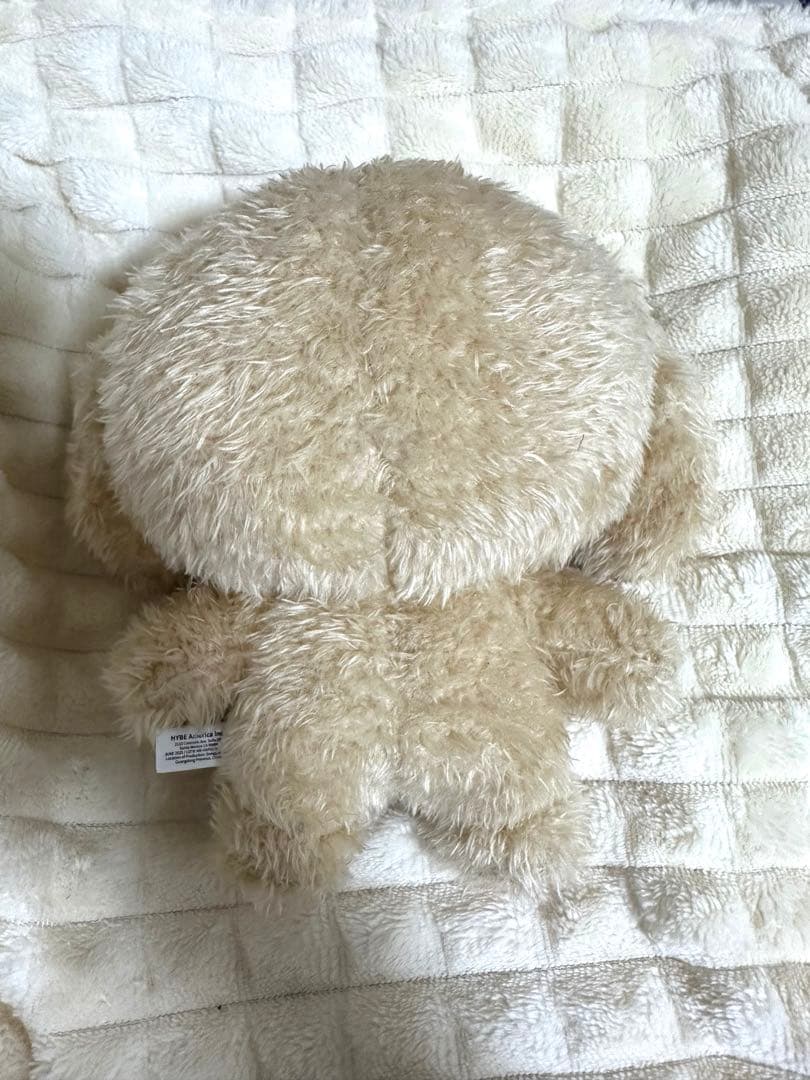 SEVENTEEN MINITEEN ドア DOA ぬいぐるみ プラッシュトイ