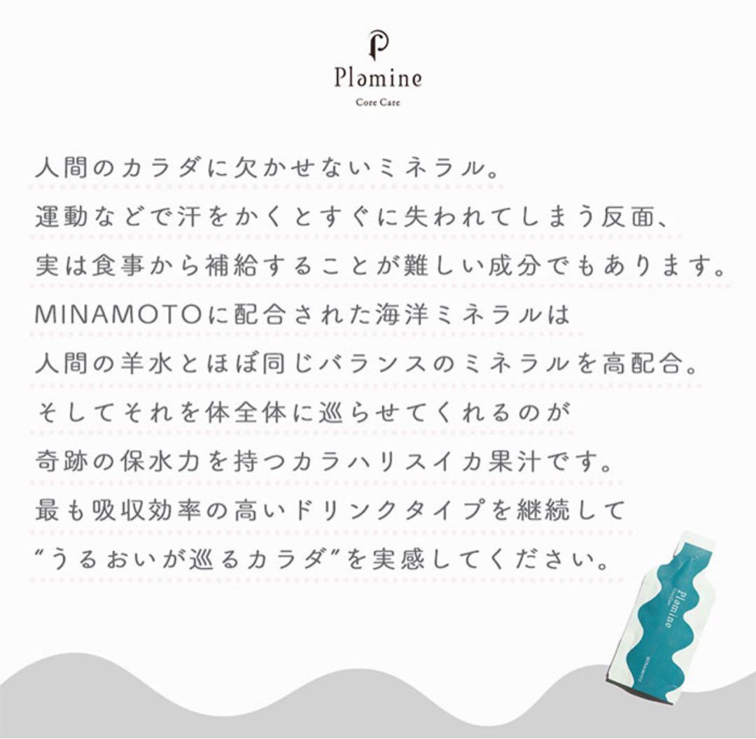 MINAMOTO Plomine Core Care 2箱プレゼント付