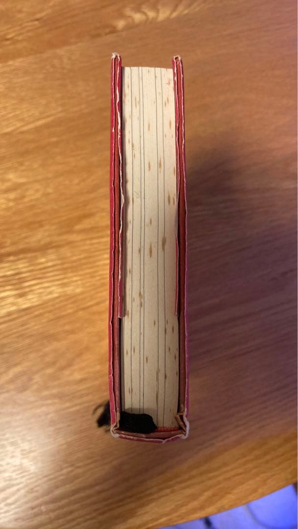 振り子の法則 リアリティ・トランサーフィン