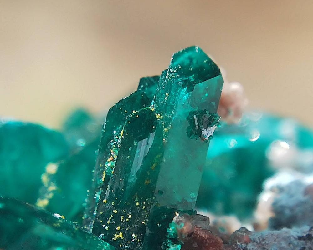 526 ダイオプテーズ プランへ石 翠銅鉱 クラスター コンゴ産