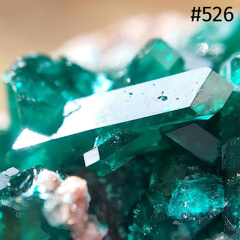 526 ダイオプテーズ プランへ石 翠銅鉱 クラスター コンゴ産