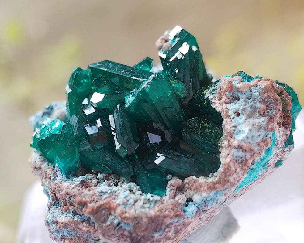 526 ダイオプテーズ プランへ石 翠銅鉱 クラスター コンゴ産