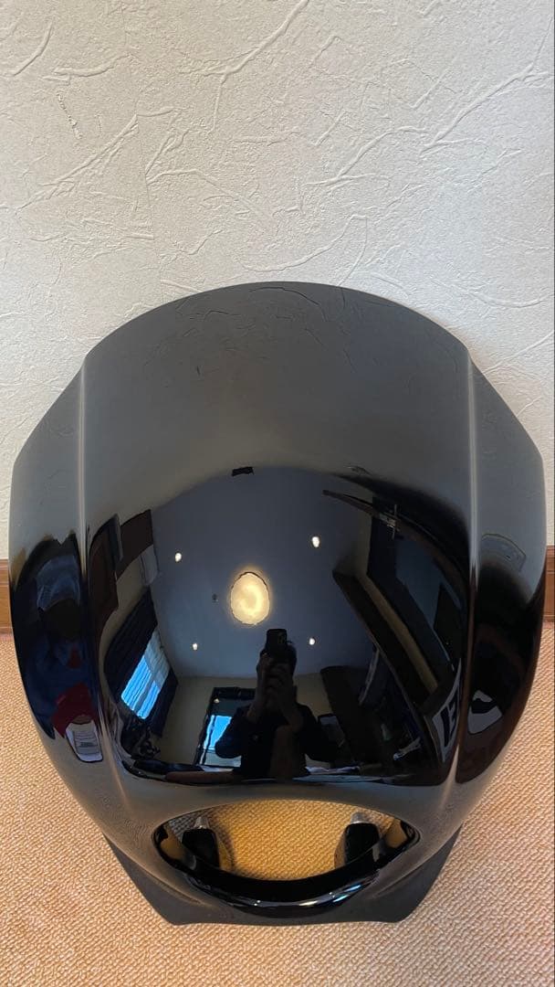 NOYS ノイズ フェアリング インナーカバーセット塗装済 fxlrs