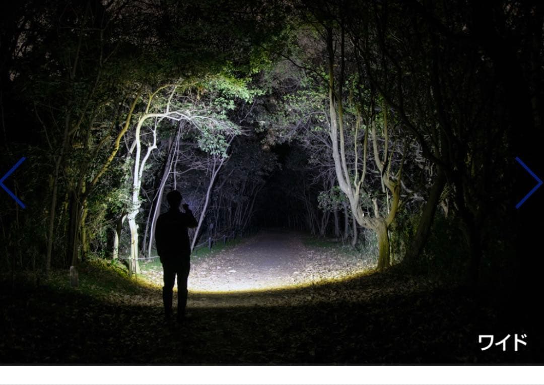 ♡新品未開封♡ GENTOS GF-214RG LEDライト