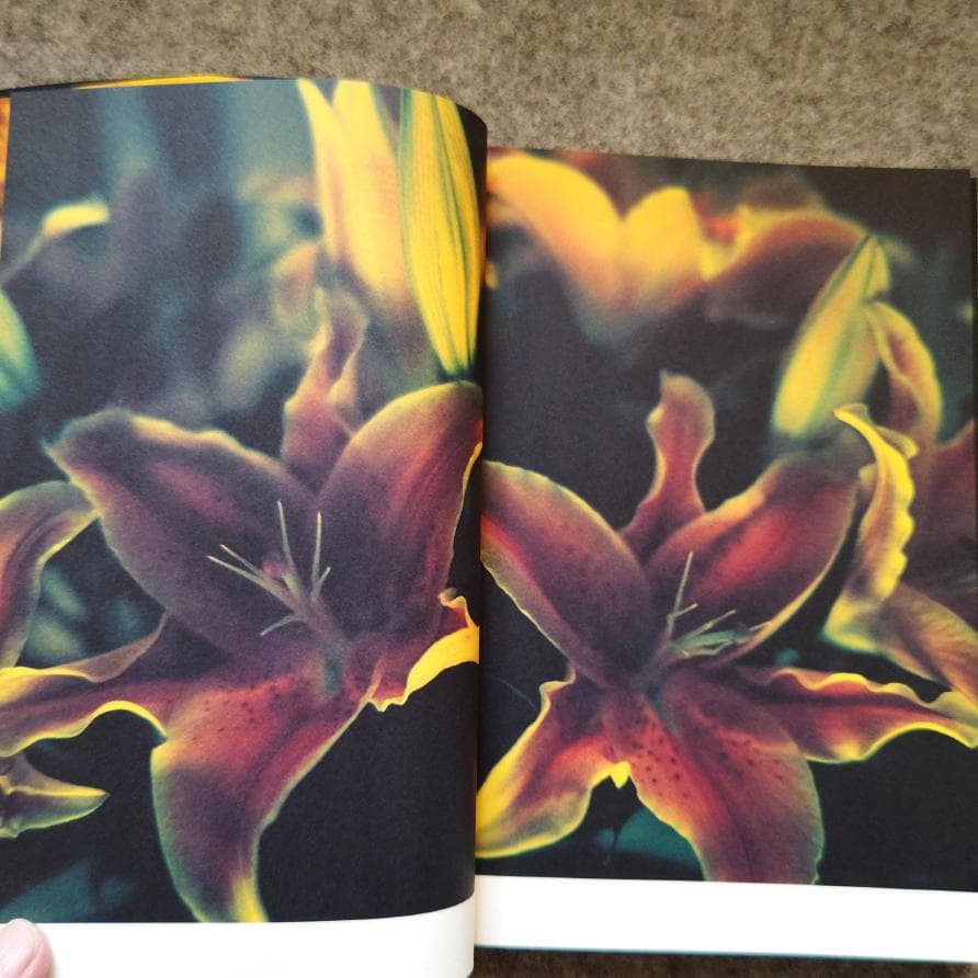 ◆古本◆蜷川実花サイン入り◆ノワール◆女性写真家、映画監督◆蜷川幸雄の娘