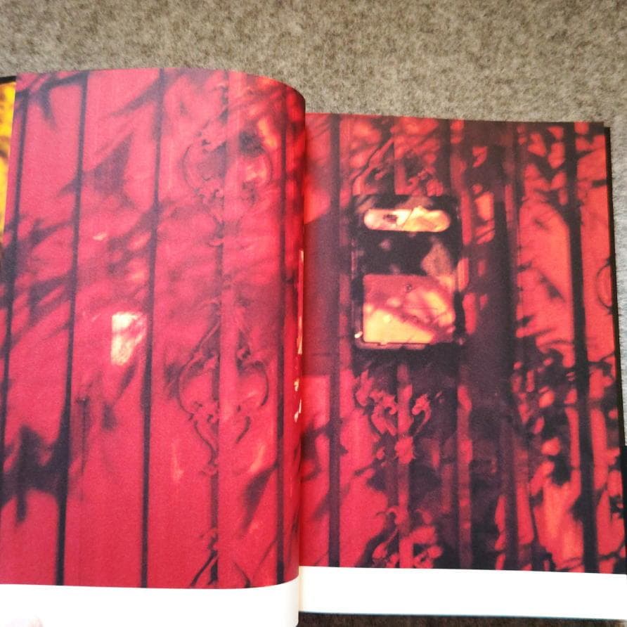 ◆古本◆蜷川実花サイン入り◆ノワール◆女性写真家、映画監督◆蜷川幸雄の娘