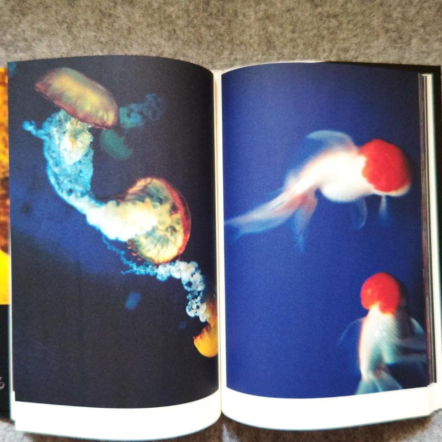 ◆古本◆蜷川実花サイン入り◆ノワール◆女性写真家、映画監督◆蜷川幸雄の娘