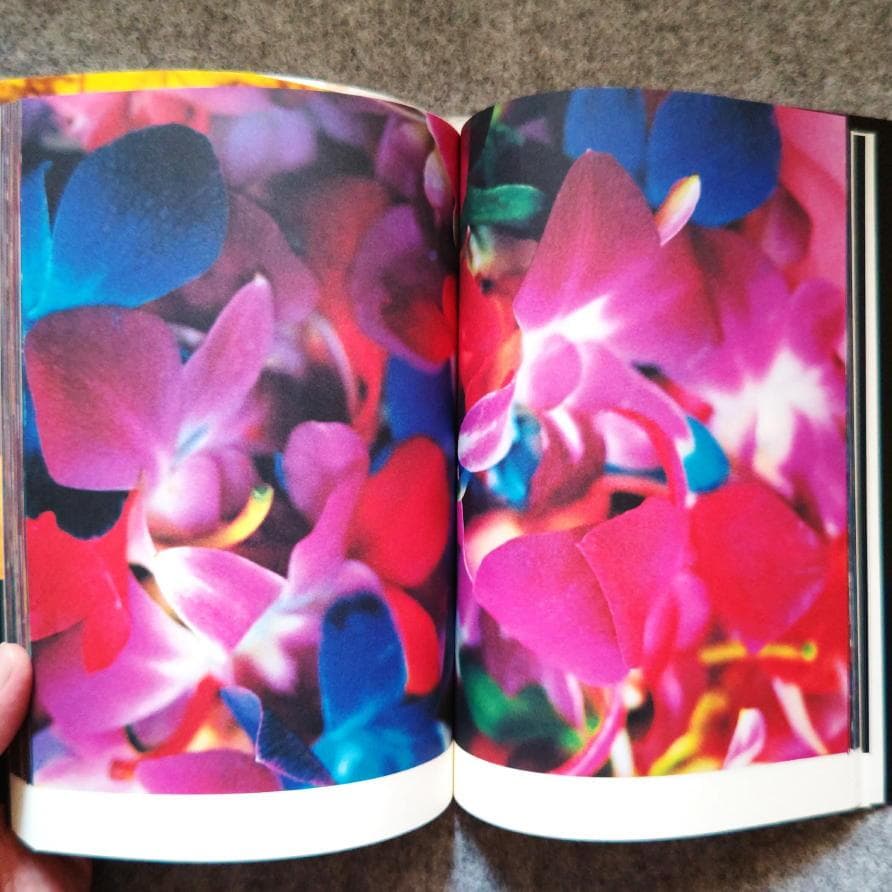 ◆古本◆蜷川実花サイン入り◆ノワール◆女性写真家、映画監督◆蜷川幸雄の娘