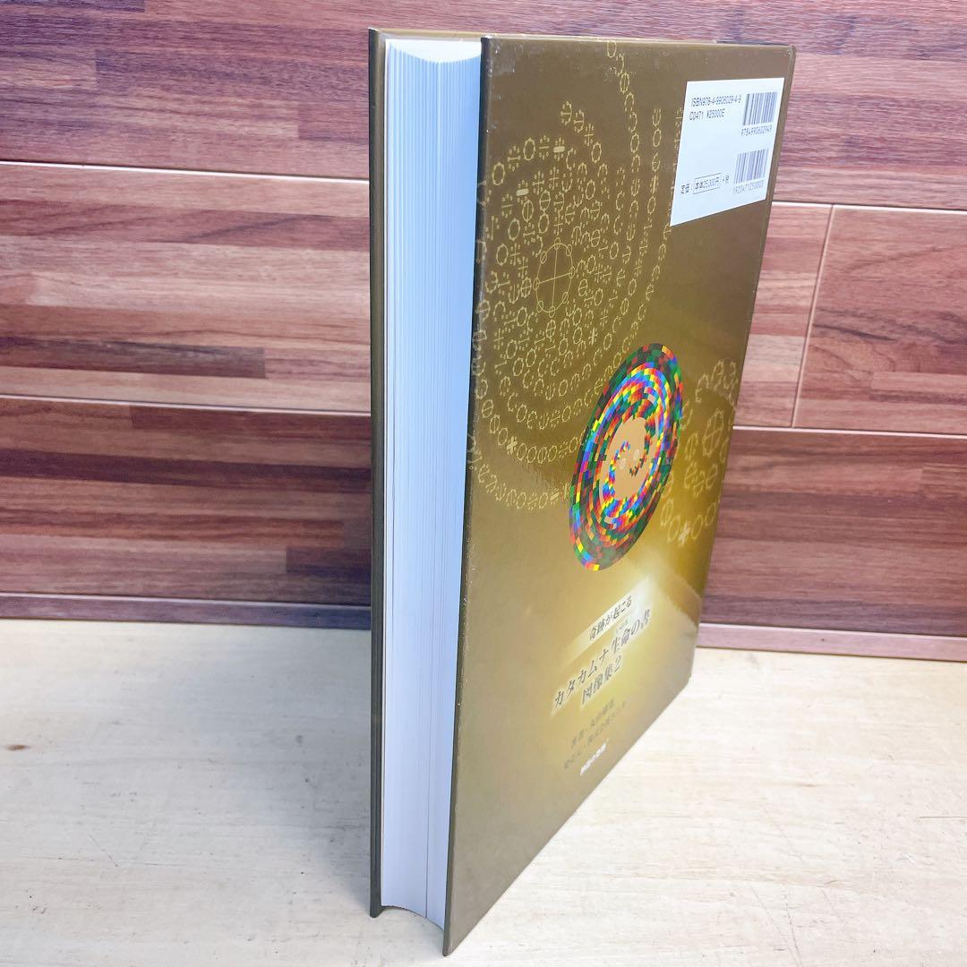 奇跡が起こる　カタカムナ　生命の書　図像集2