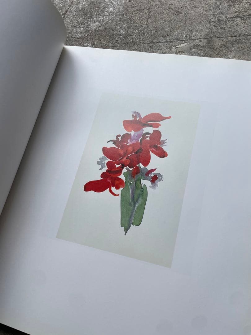 大型本　オキーフ画集 「花」　100頁　ニコラス・キャラウェイ/編・著