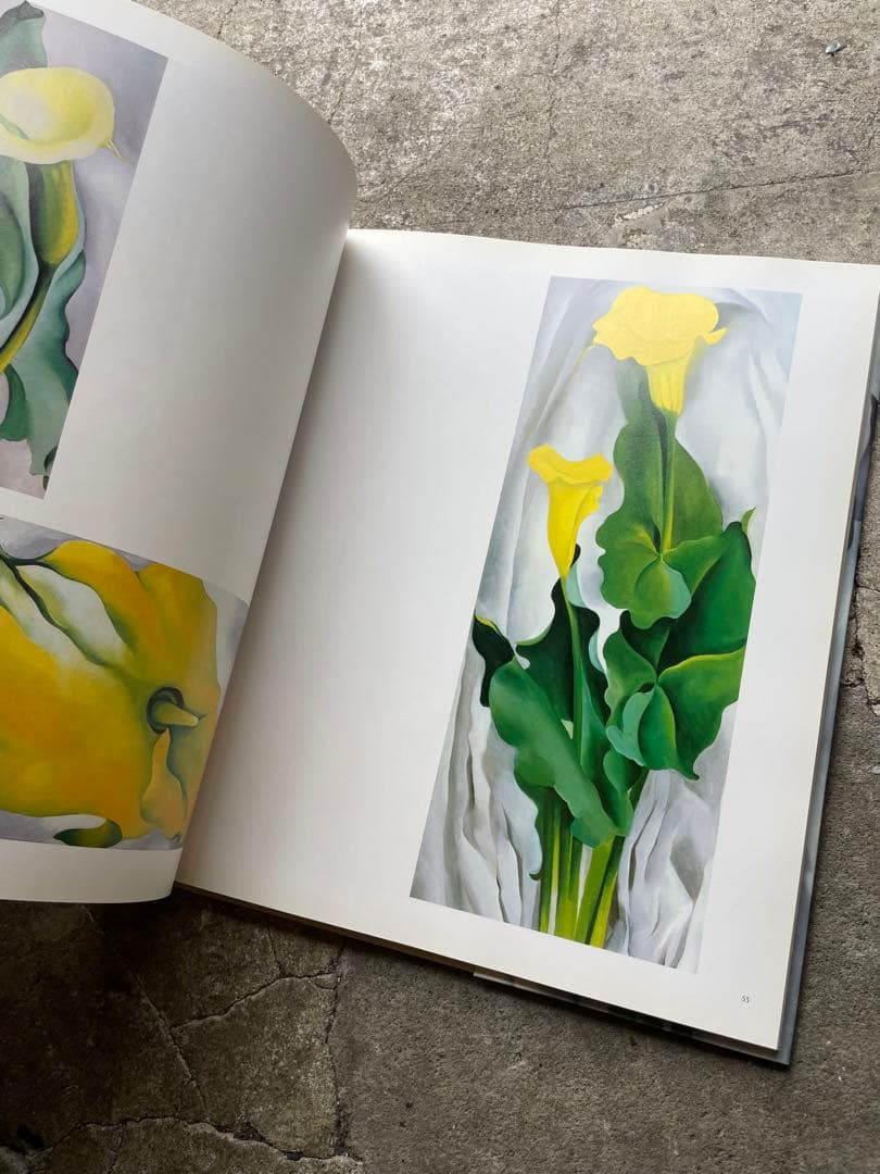 大型本　オキーフ画集 「花」　100頁　ニコラス・キャラウェイ/編・著