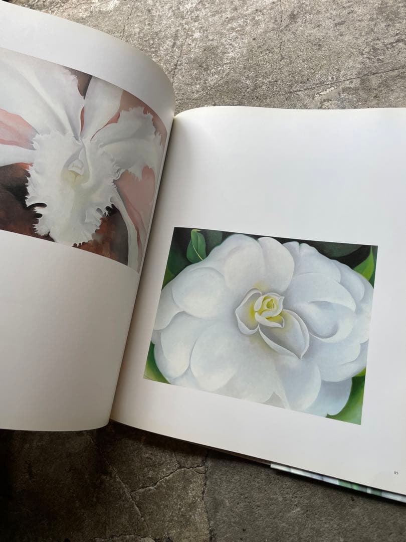 大型本　オキーフ画集 「花」　100頁　ニコラス・キャラウェイ/編・著