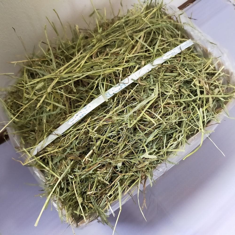 【7/31まで】US産 チモシー 50kg ２番刈 ソフトSプレミアム