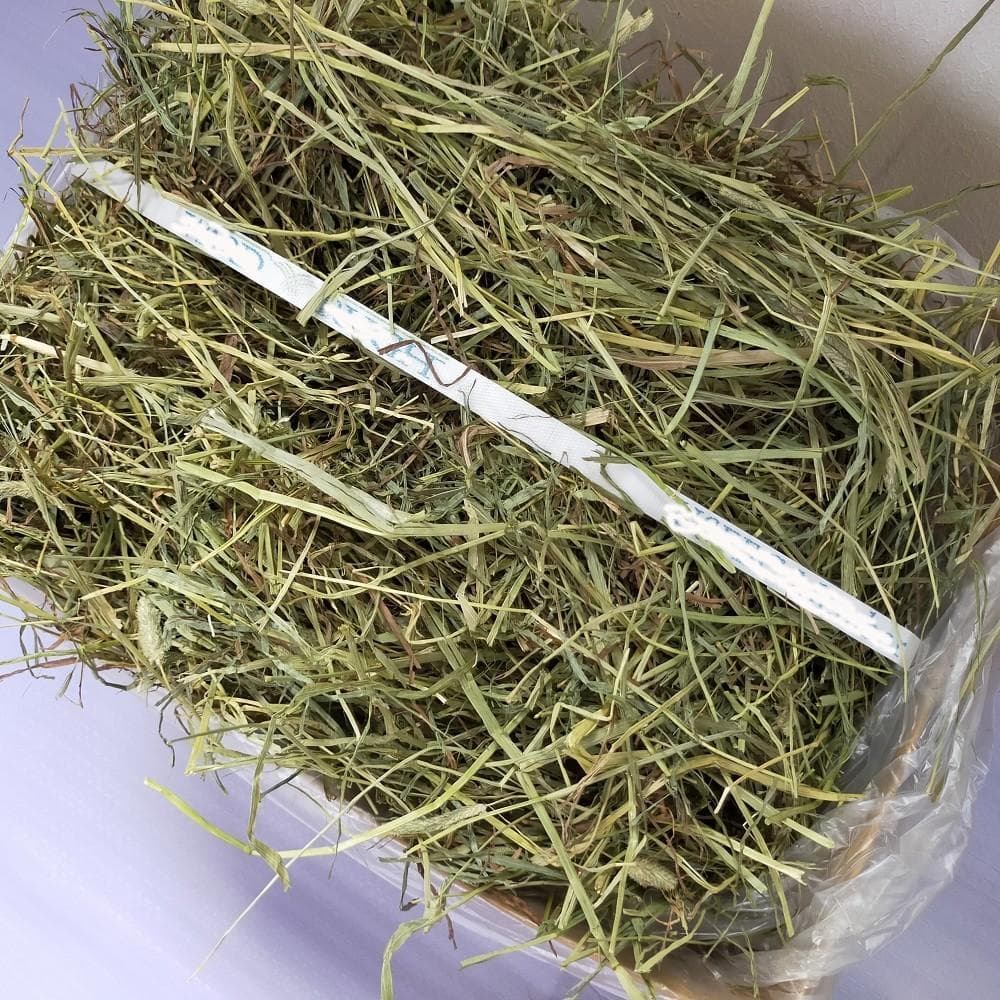 【7/31まで】US産 チモシー 50kg ２番刈 ソフトSプレミアム