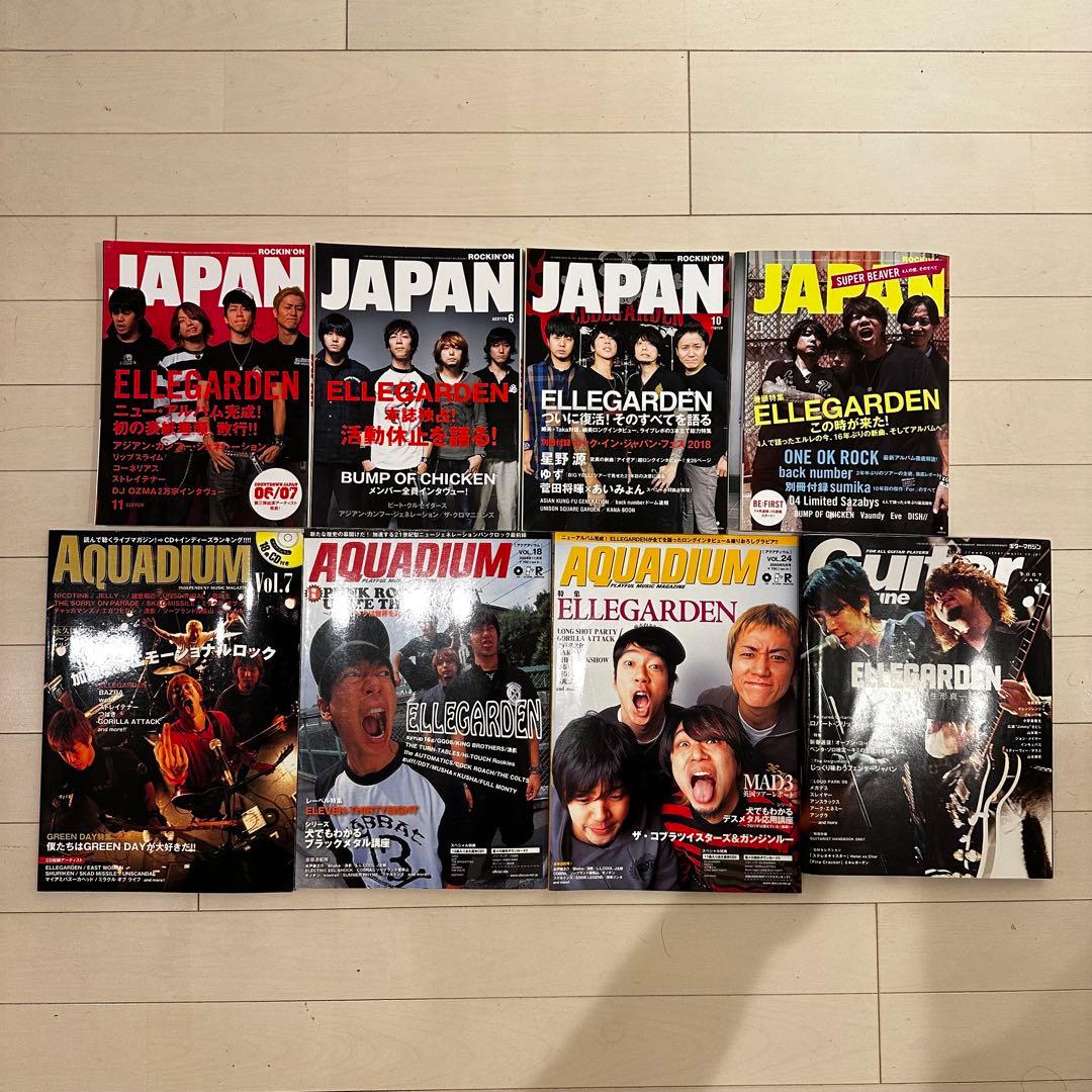 ELLEGARDEN エルレガーデン 細美武士 表紙雑誌