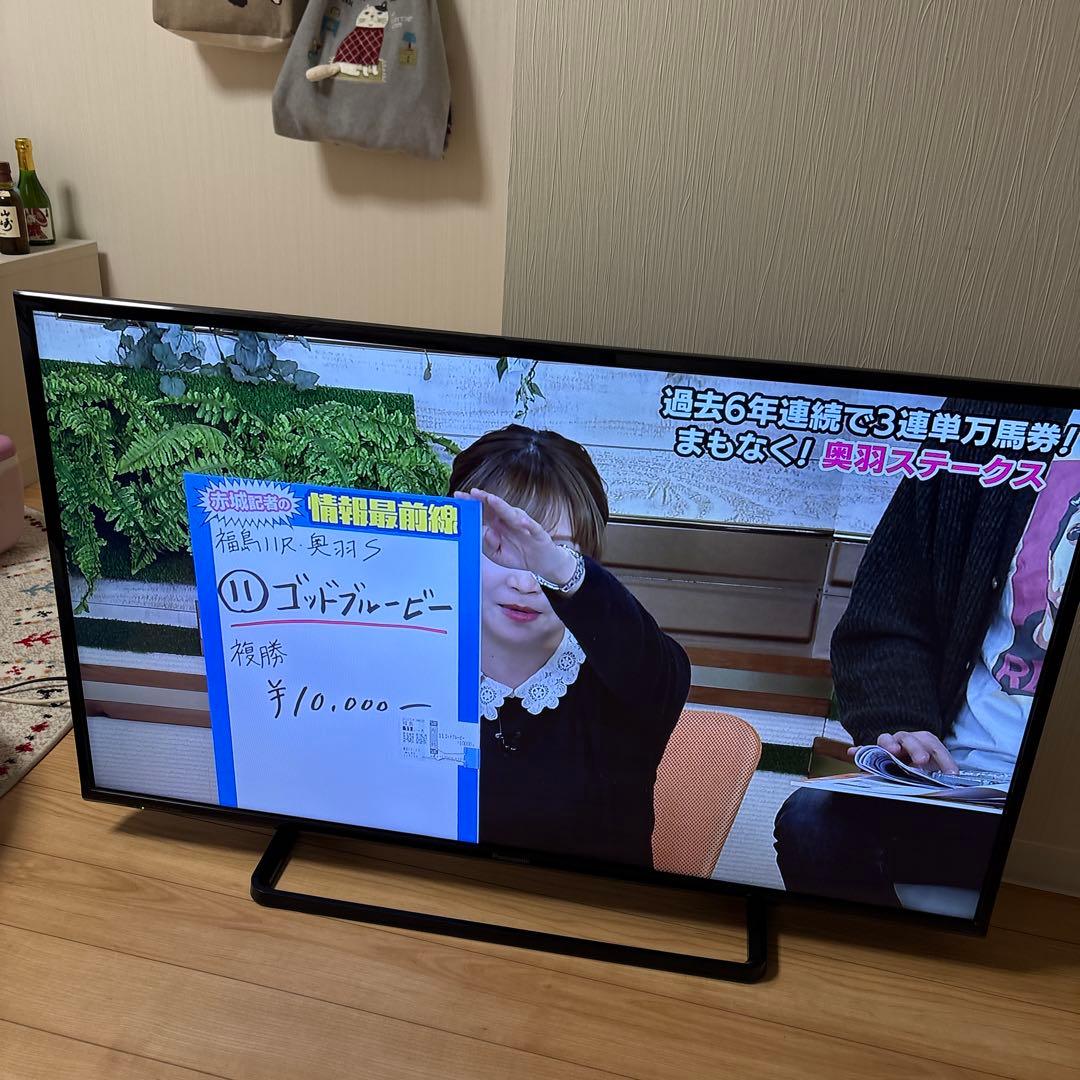 Panasonic TH-43D305 43インチ液晶テレビ　2017年製
