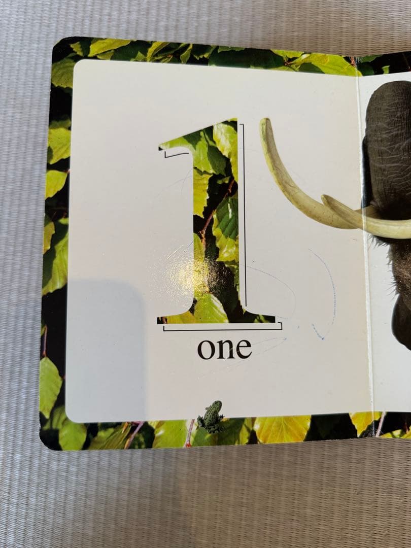 （専用）洋書 絵本 First Book of Numbers