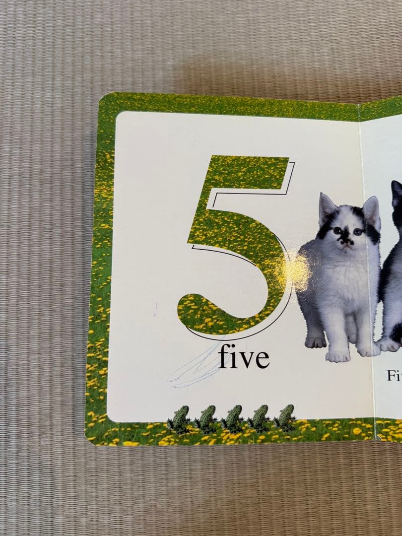 （専用）洋書 絵本 First Book of Numbers