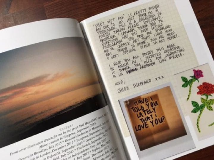 【希少品】She's not me / CHLOE SHEPPARD