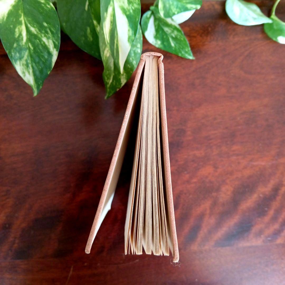 洋書古書　希少　Nerman ネイマン　おやゆび姫アンデルセン　ヴィンテージ