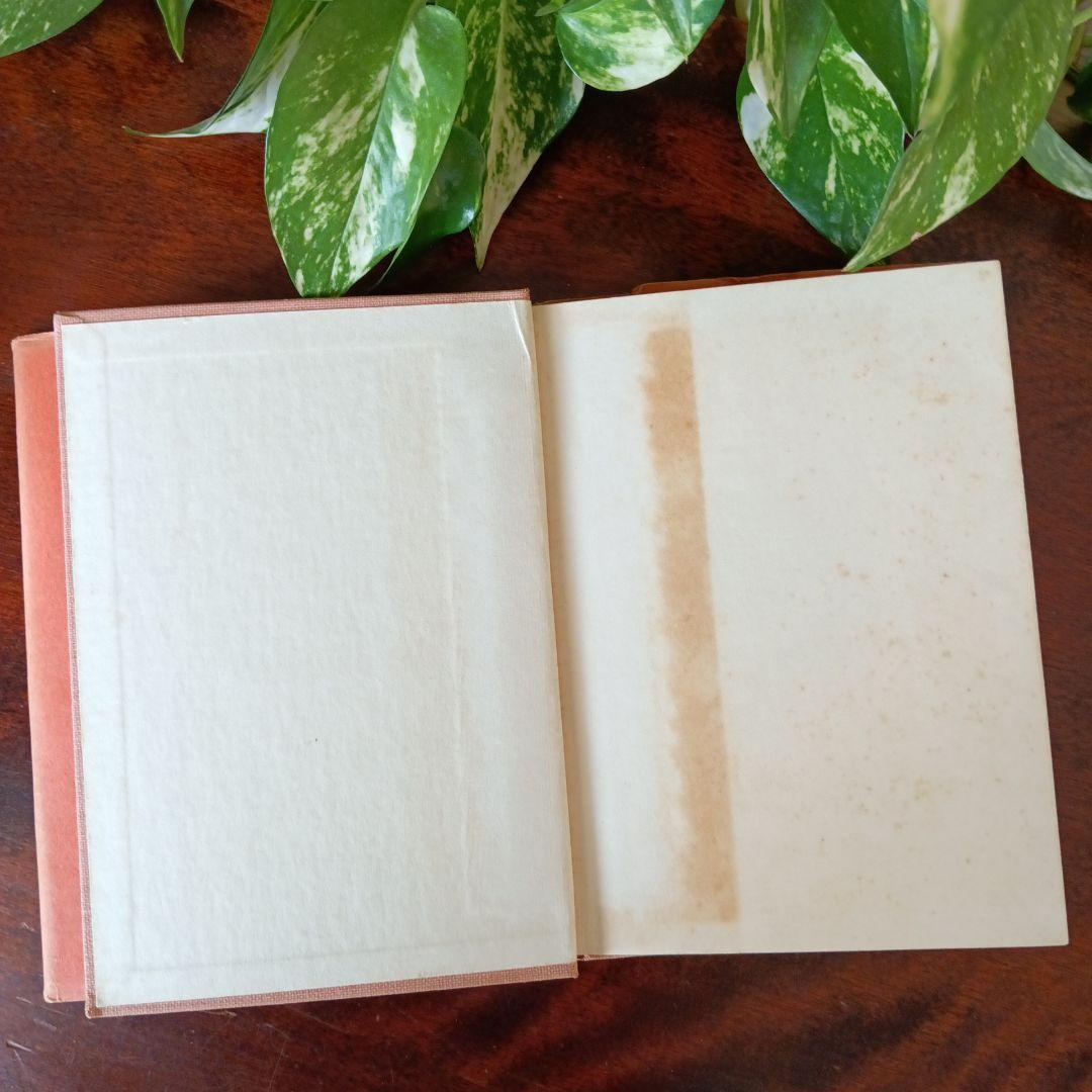 洋書古書　希少　Nerman ネイマン　おやゆび姫アンデルセン　ヴィンテージ