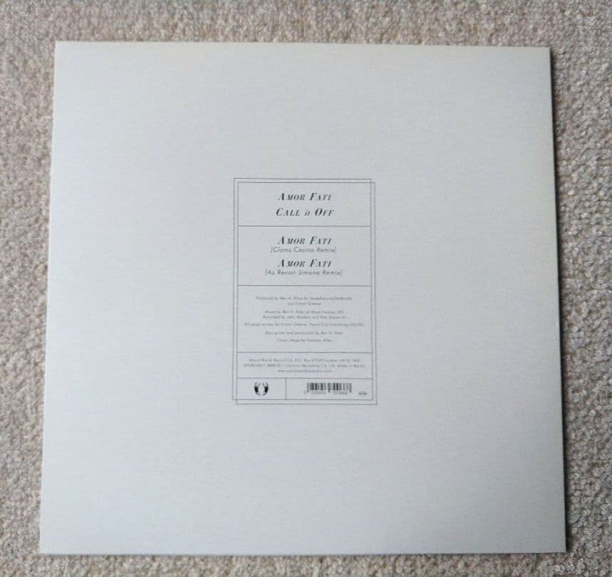 Washed Out Amor Fati EPレコード