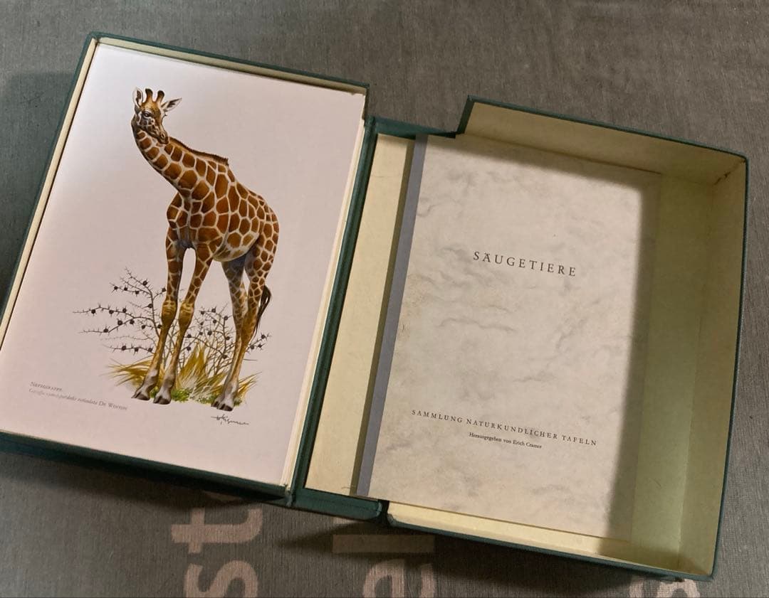 博物図鑑　1958年（ドイツ）図版、 160枚のボタニカルアートBOX