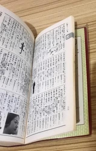 ダイヤモンド 国語辞典 和英併用 文学博士 岡 一男 昭和 函付き 英語勉強