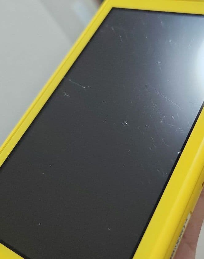 Nintendo Switch Lite + ソフト