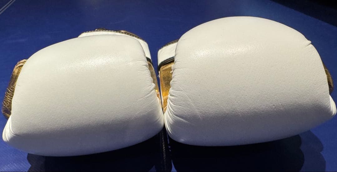 EVERLAST グローブ POWER LOCK ホワイト/ゴールド　16oz