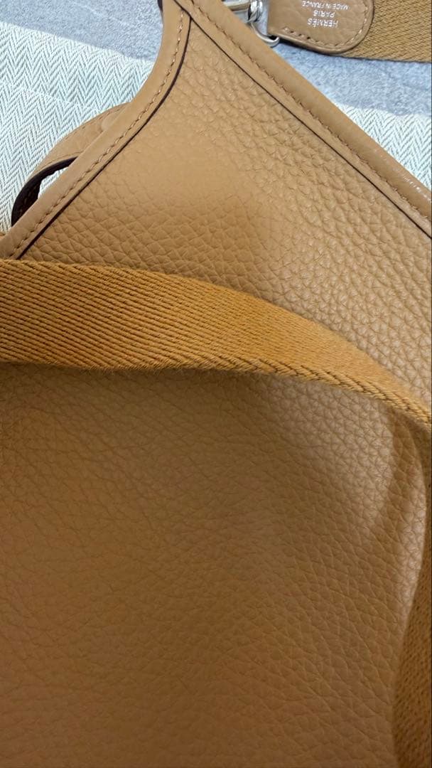 エヴリンtpm ビスキュイ