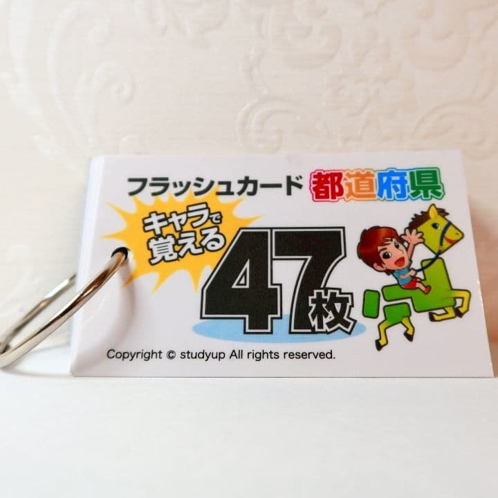 白地図ピース スタディアップ　社会　重ねて覚える191ピース