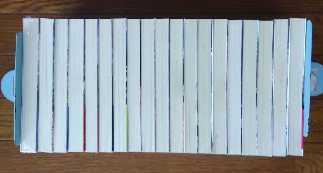 公女殿下の家庭教師　1〜19巻