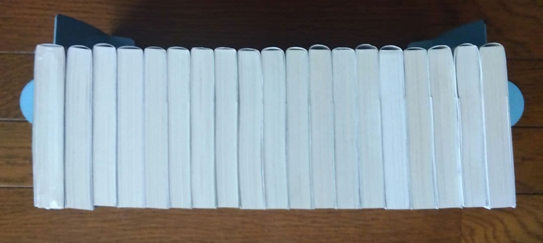 公女殿下の家庭教師　1〜19巻