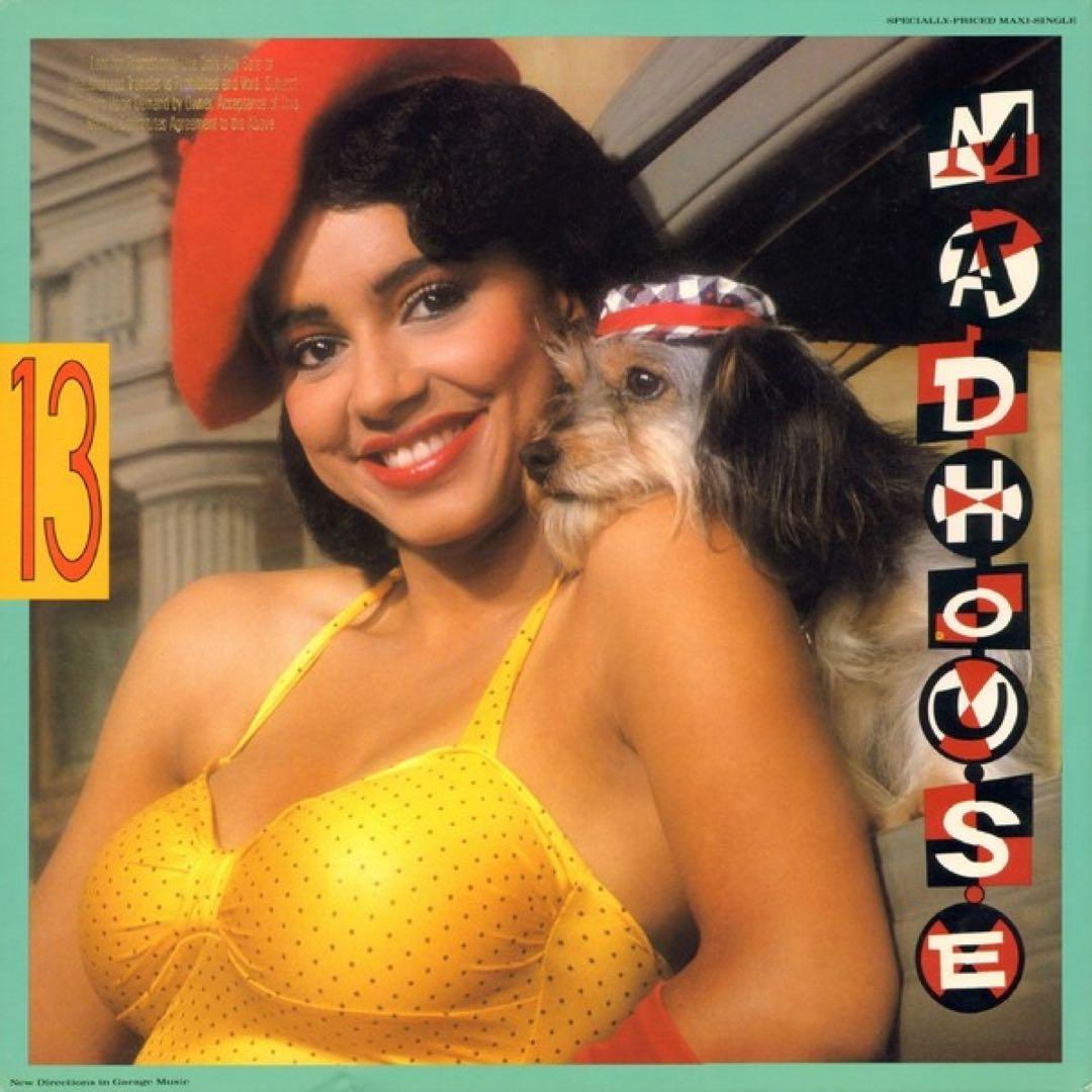 プリンス関連 レアグルーヴ Madhouse 13 12 s レアシングル