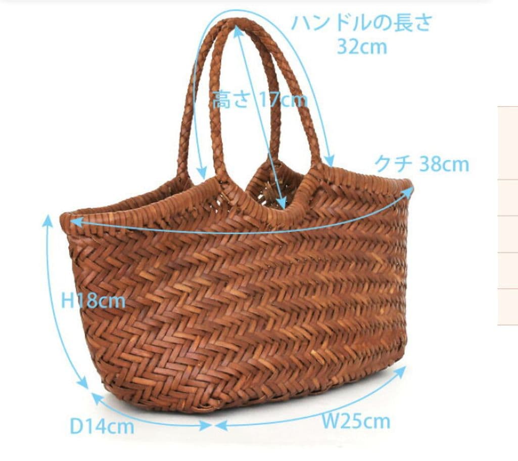 DRAGON DIFFUSION レザーメッシュトートバッグ