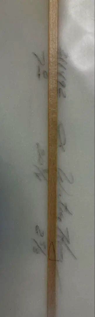 チャンネルアイランドChannel sアルメリック WATERHOG