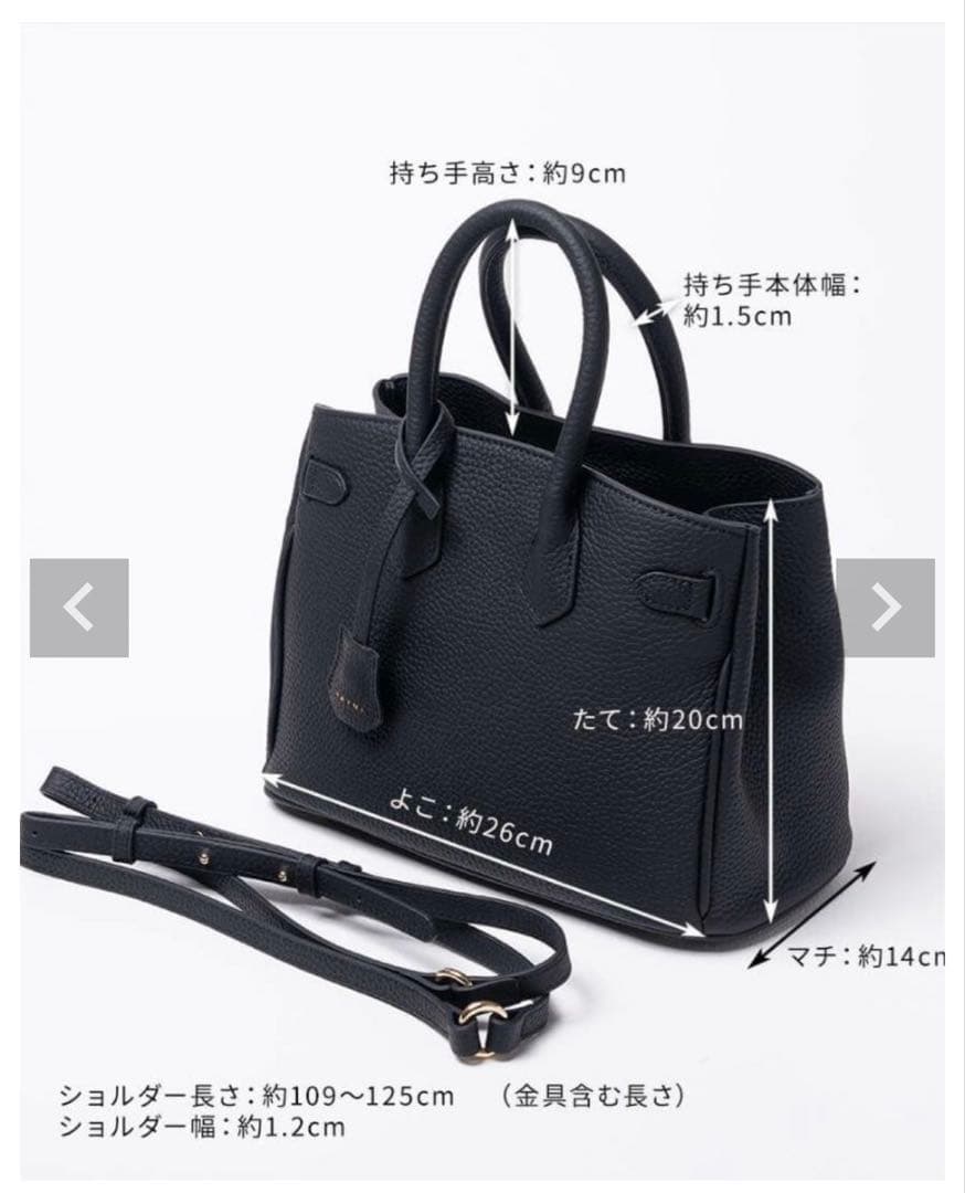 【美品】ヘイニ　レネ　ショルダーバッグ　黒　本革