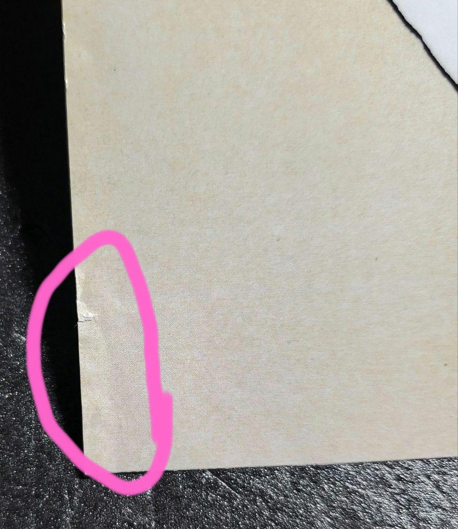 新世紀エヴァンゲリオン劇場版　切り抜き折り込みポスター　１枚