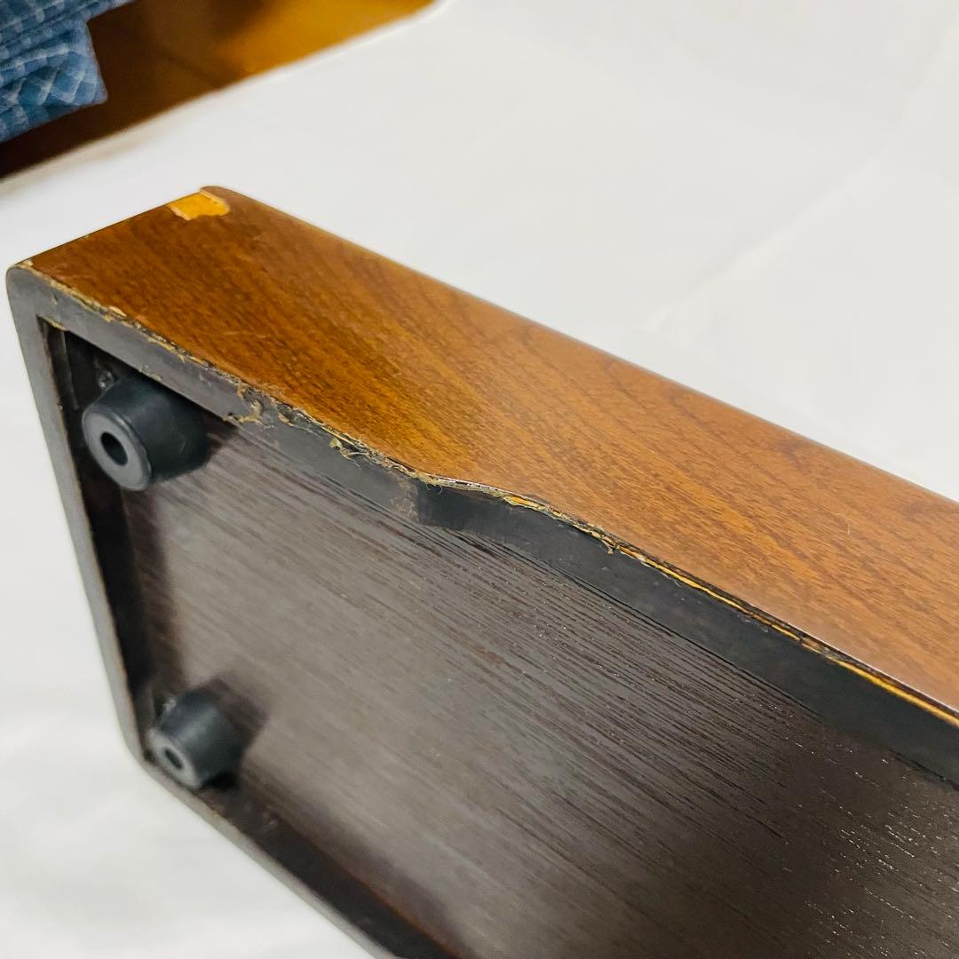 SUZUKI スズキ 和楽 電子大正琴 TES-100