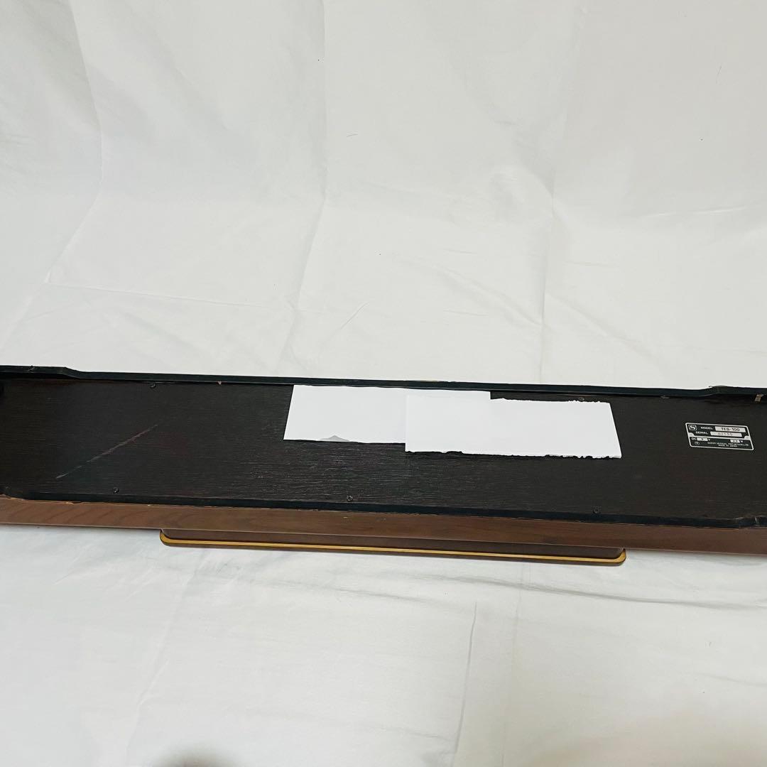 SUZUKI スズキ 和楽 電子大正琴 TES-100