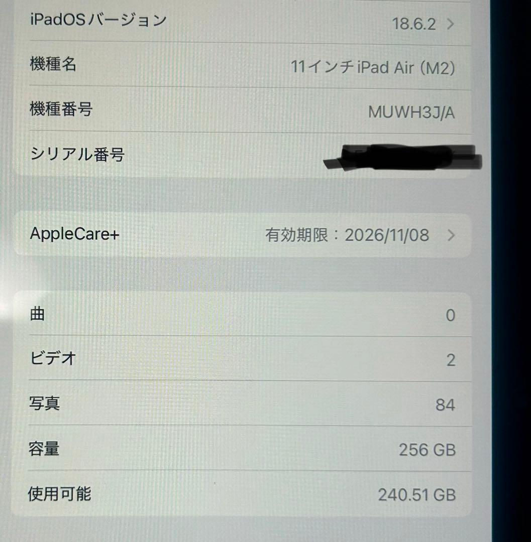 べ*こ様 11インチiPad Air WiFiモデル256GBブルー