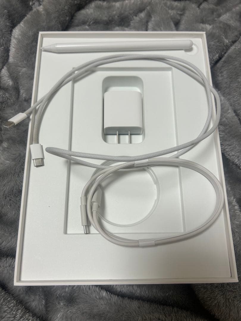 べ*こ様 11インチiPad Air WiFiモデル256GBブルー