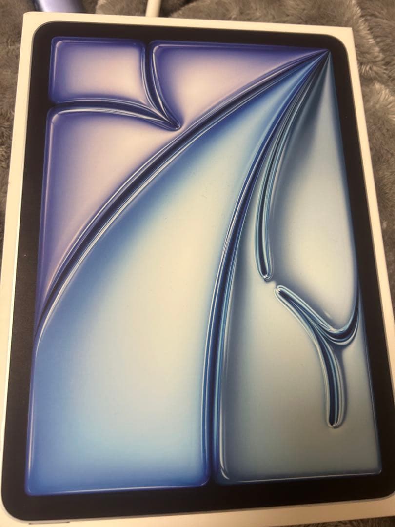 べ*こ様 11インチiPad Air WiFiモデル256GBブルー