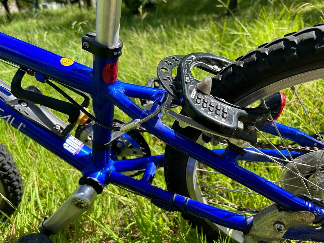 ルイガノ LGS－Ｊ２０６ 6段変速ギヤ 色：ブルー サイコン付