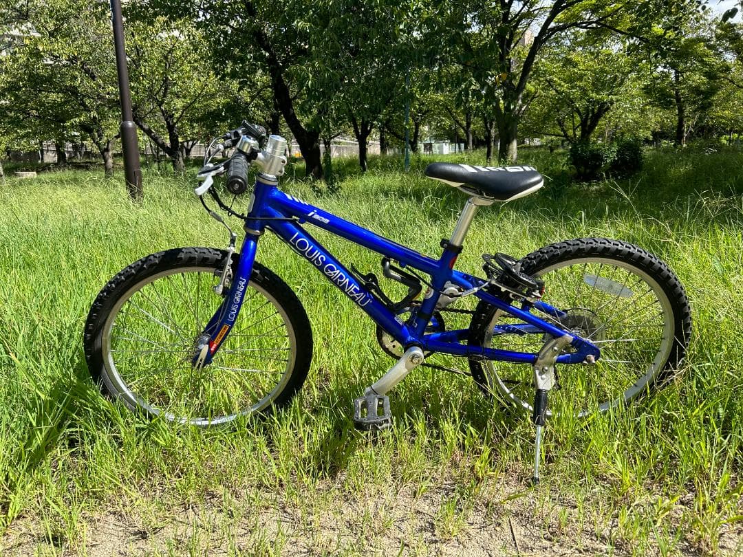 ルイガノ LGS－Ｊ２０６ 6段変速ギヤ 色：ブルー サイコン付