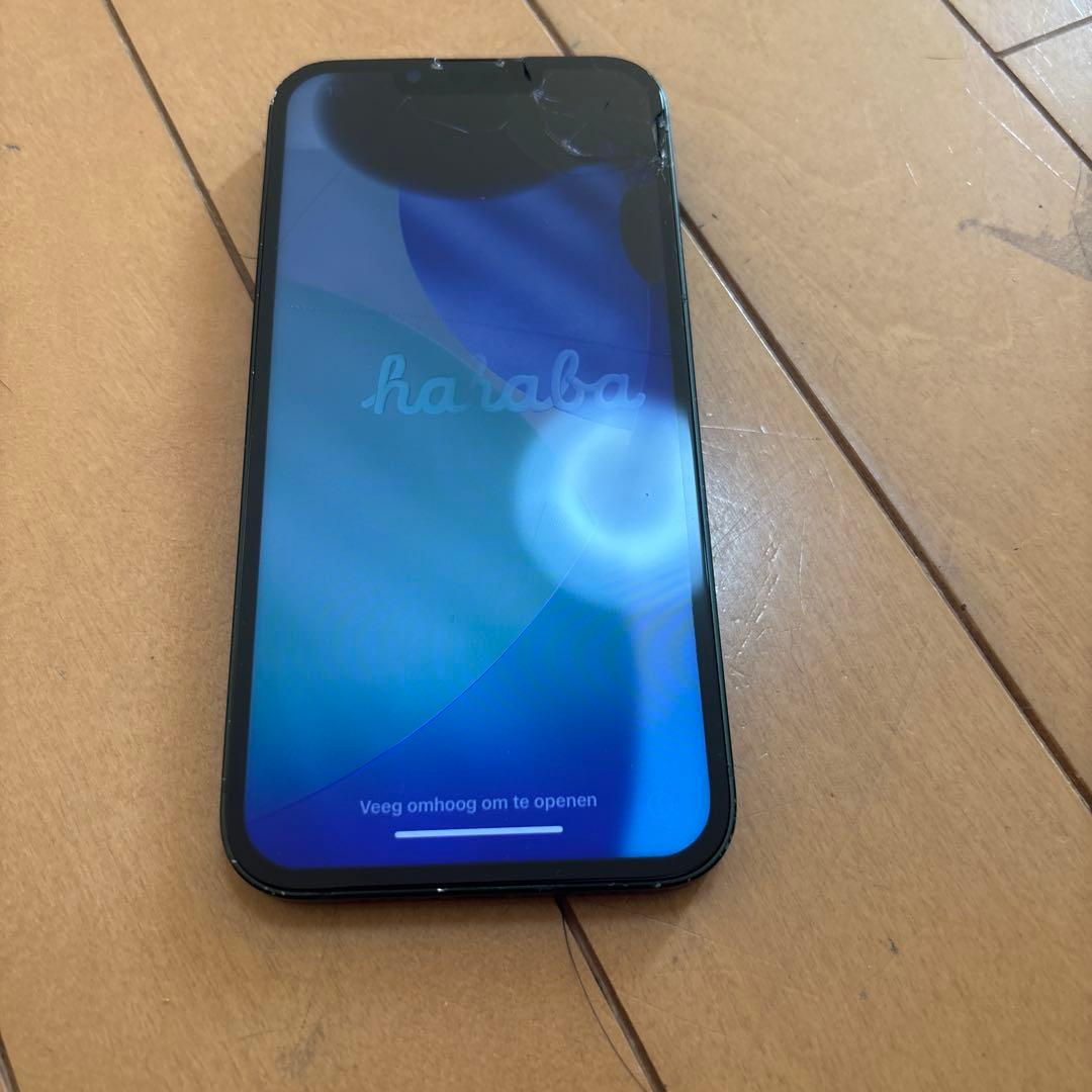 L*y様 iPhone13 258GB 利用制限⭕️ ジャンク品