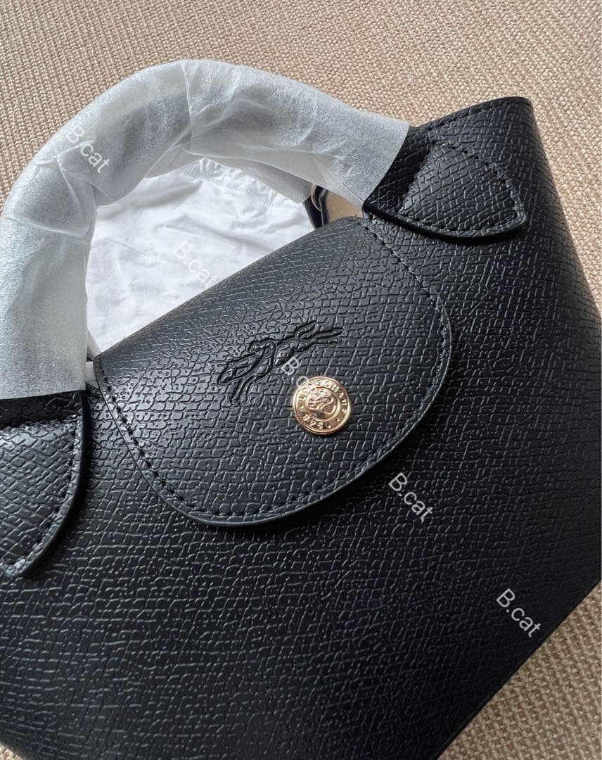 Cactusプロフィ必読